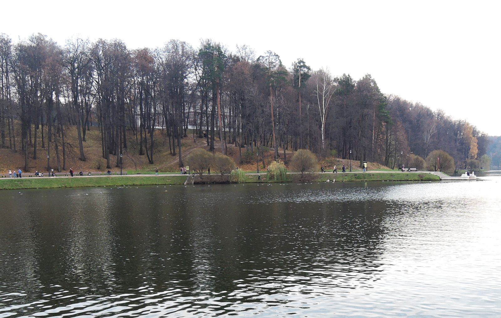 Царицыно, image of landscape/habitat.