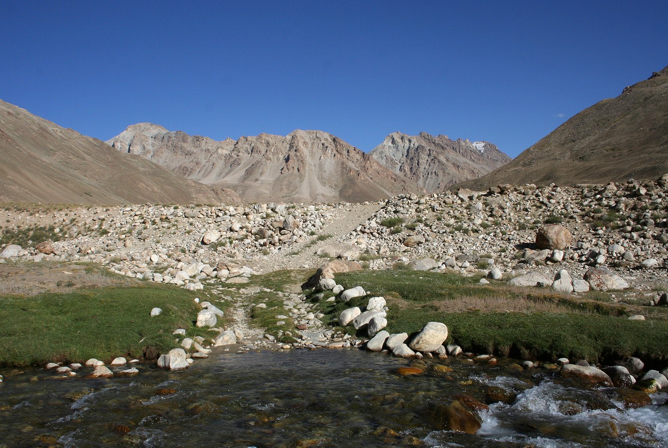 Турунтай-Куль, image of landscape/habitat.