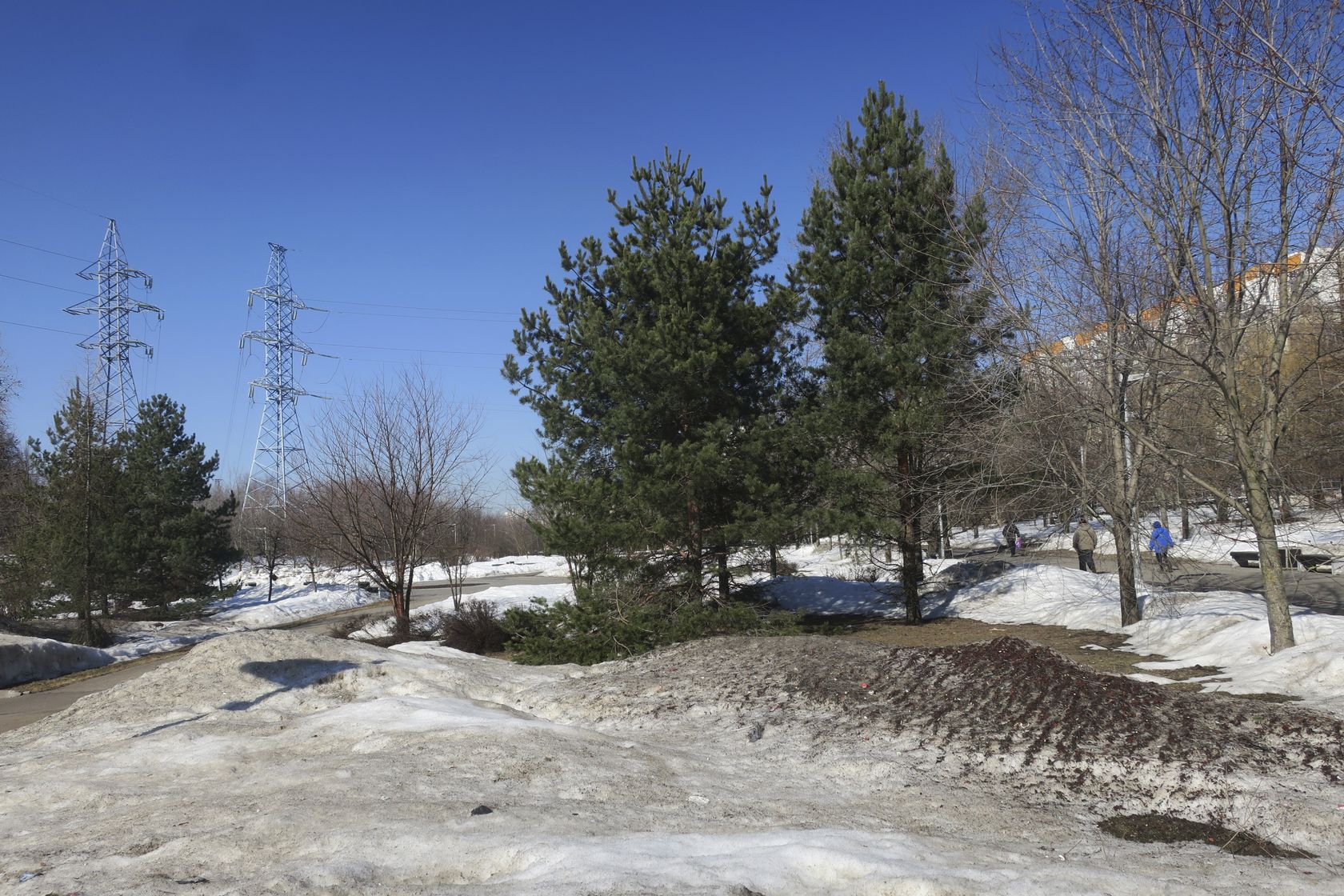 Митино (ландшафтный парк), image of landscape/habitat.