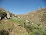 Image of landscape