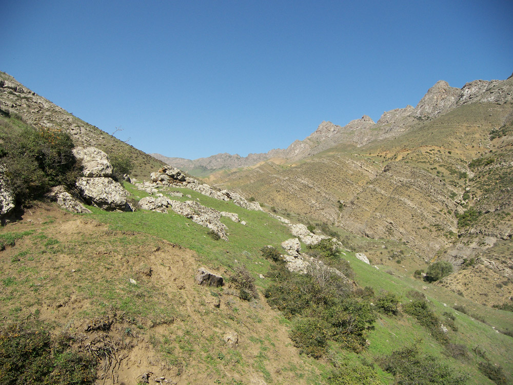 Зуванд, image of landscape/habitat.