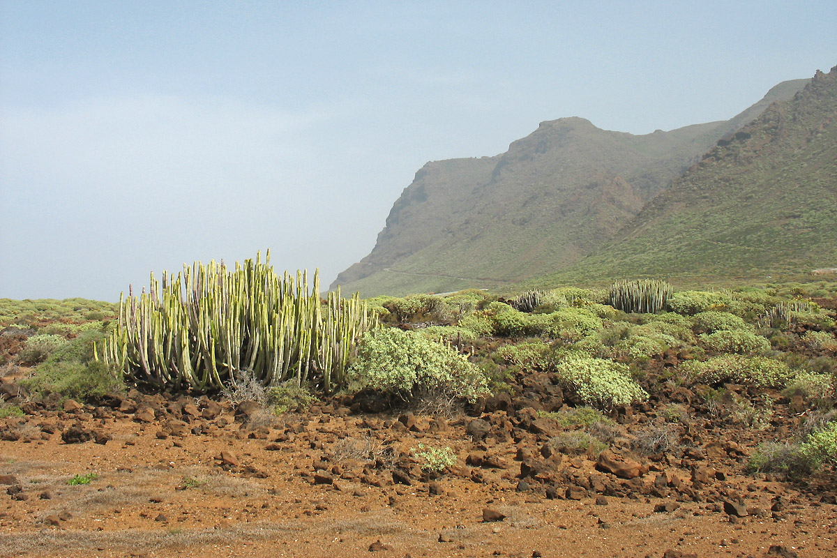 Ландшафтный парк Тено, image of landscape/habitat.