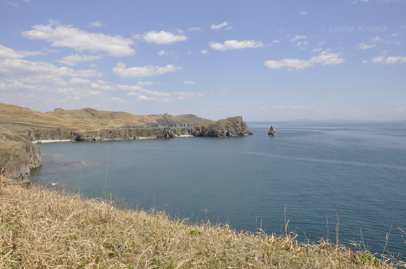 Полуостров Брюса, image of landscape/habitat.