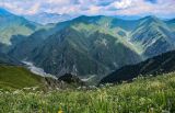 Перевал Кульдамбес, image of landscape/habitat.