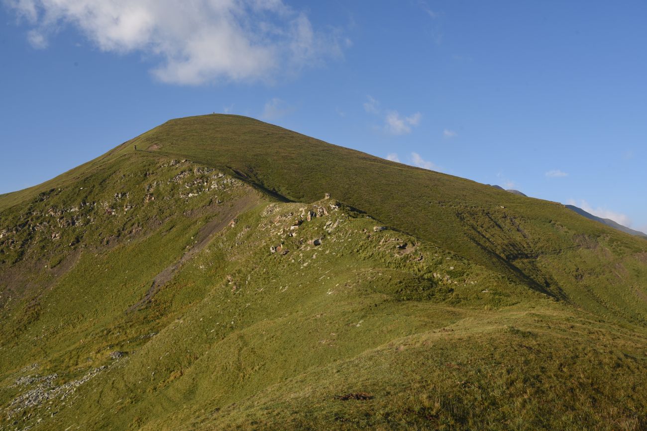 Цумандинский перевал, image of landscape/habitat.