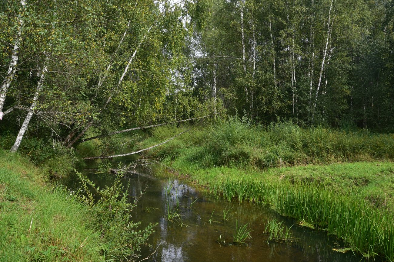 Окрестности Семлёво, image of landscape/habitat.
