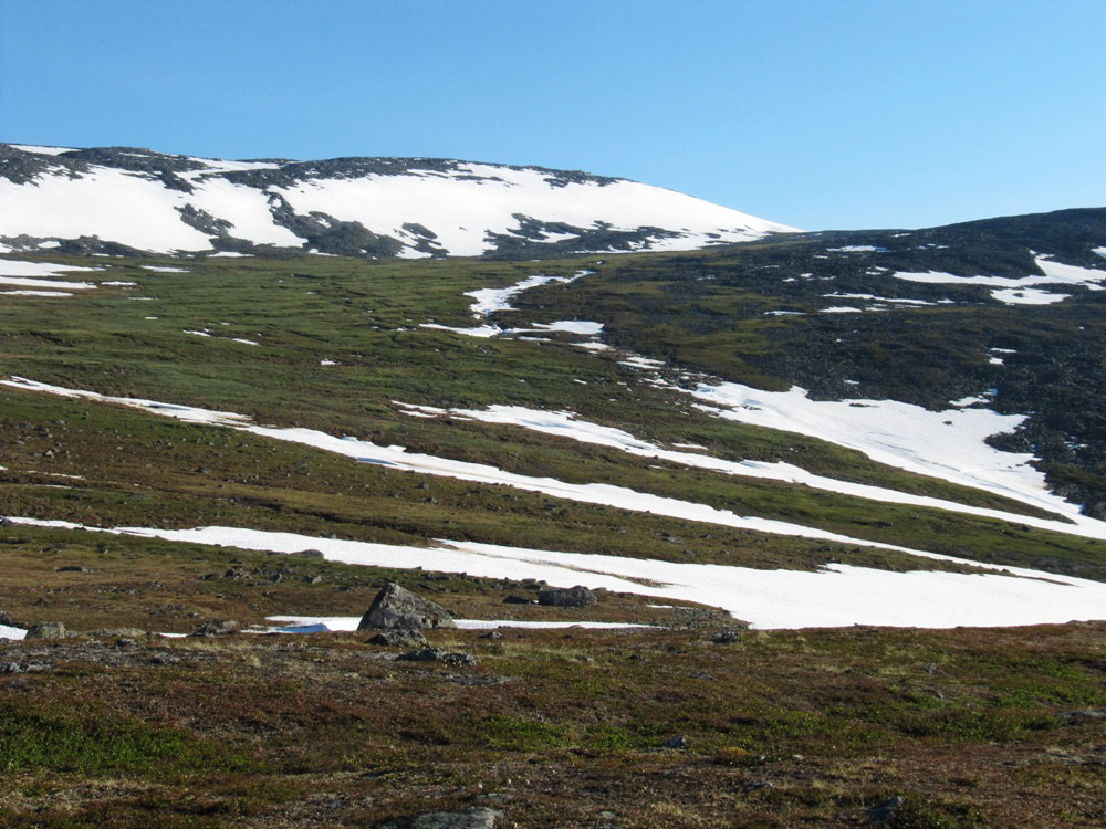 Алькесвож, image of landscape/habitat.