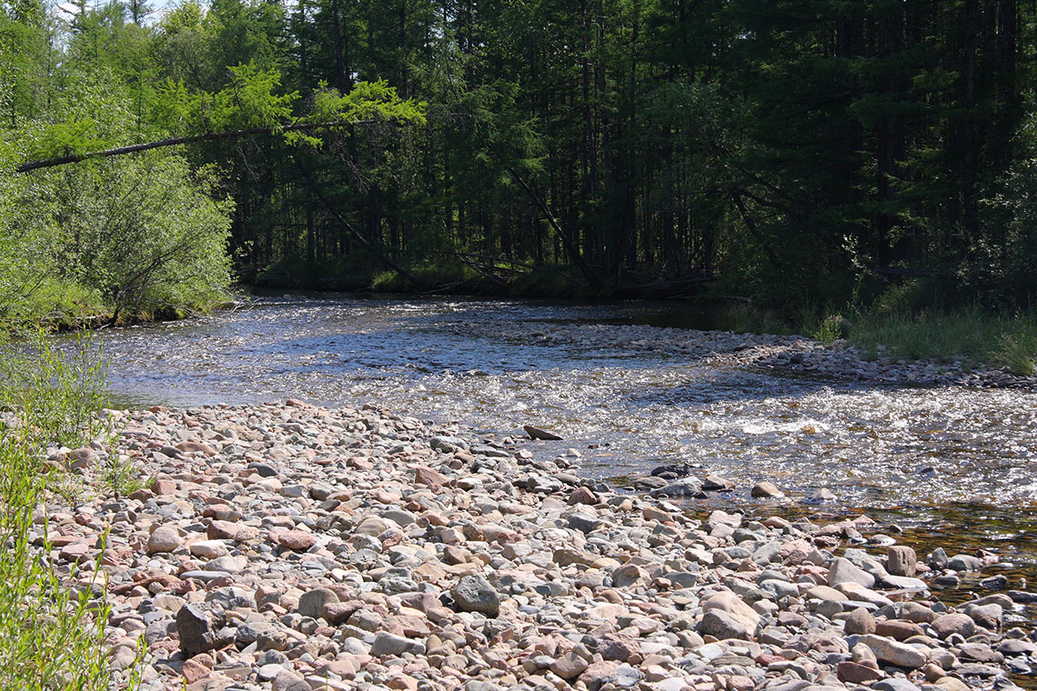 Окрестности Северного, image of landscape/habitat.