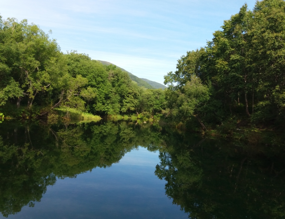 Пруд Кабан, image of landscape/habitat.