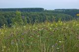 Image of landscape