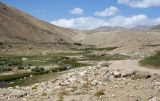 Image of landscape