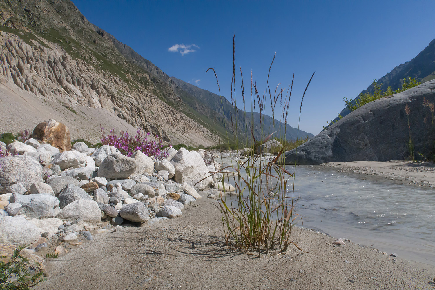 Черек-Безенгийский, image of landscape/habitat.