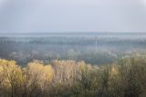 Гора Городище, image of landscape/habitat.