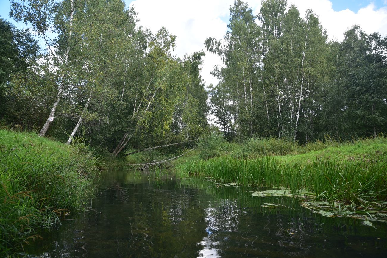 Окрестности Семлёво, image of landscape/habitat.