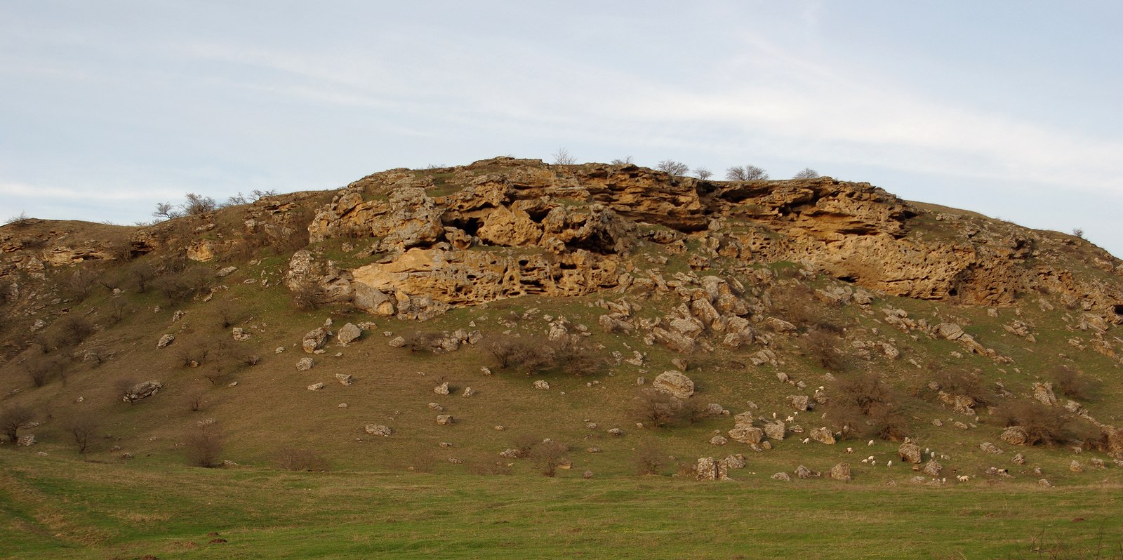 Александровское, image of landscape/habitat.