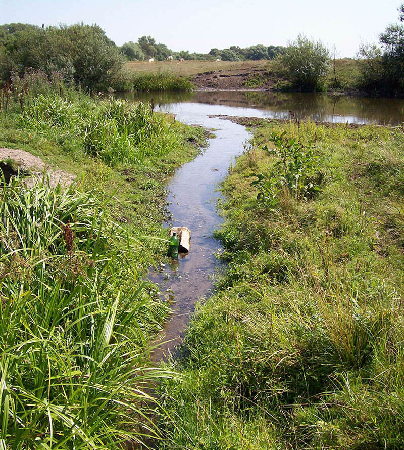 Нижнее течение реки Усожа 1, image of landscape/habitat.