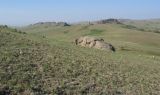 Image of landscape