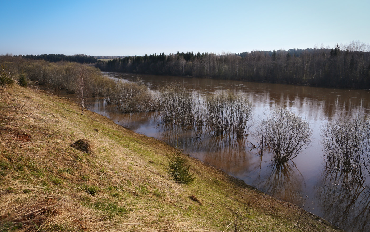 Низовья Косьвы, image of landscape/habitat.