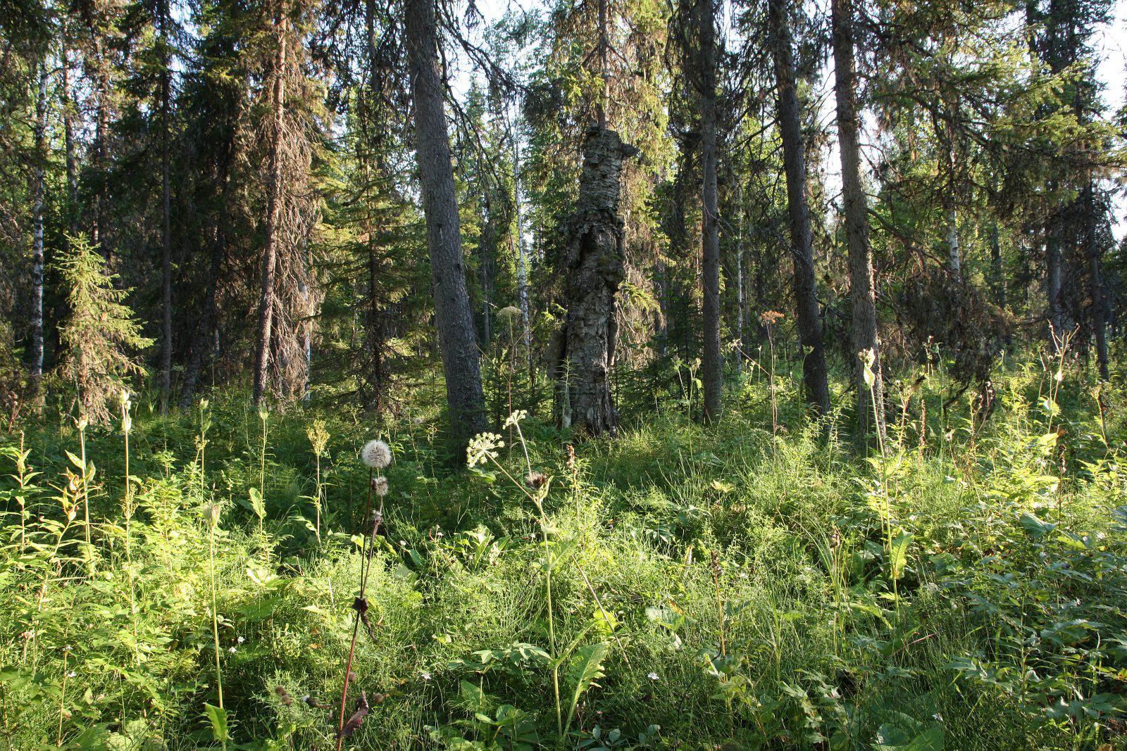 Сётра и Пойла, image of landscape/habitat.