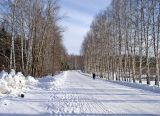 Борок и окрестности, image of landscape/habitat.