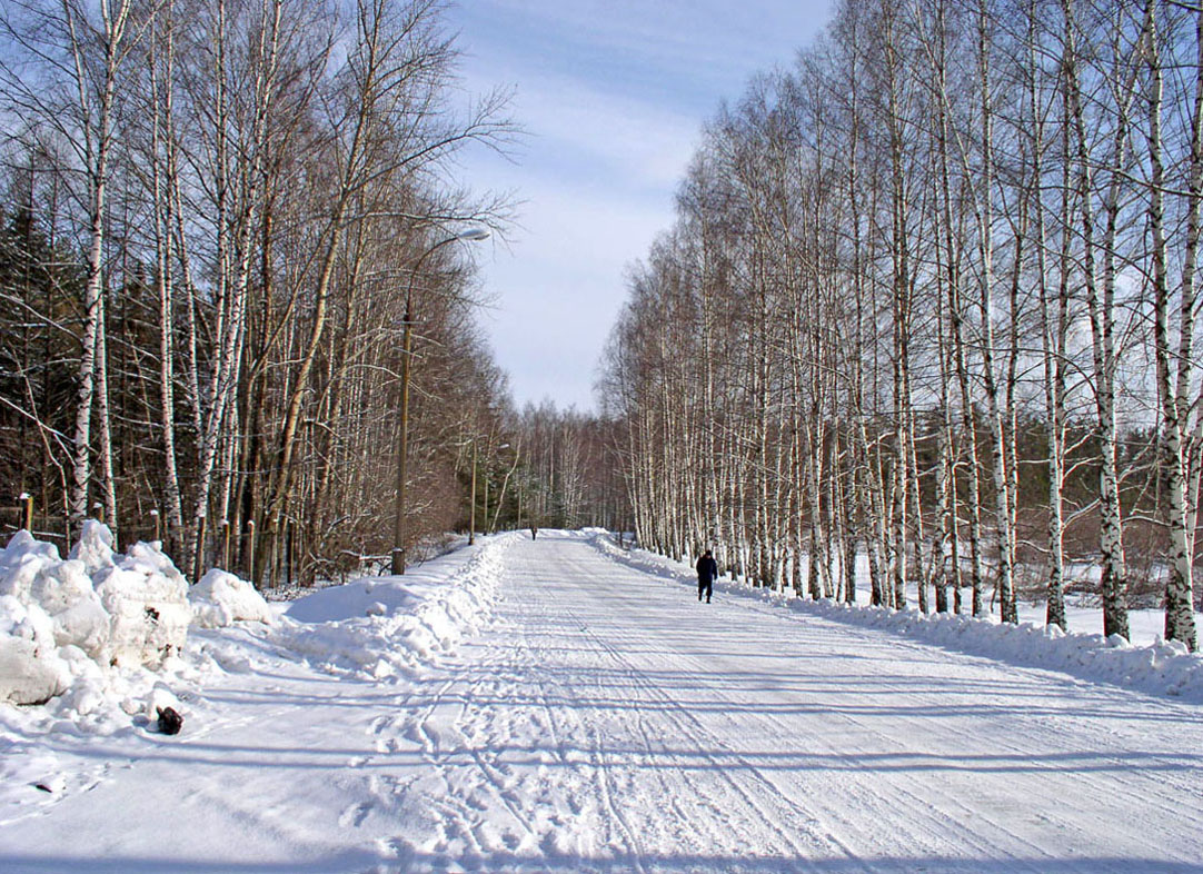 Борок и окрестности, image of landscape/habitat.
