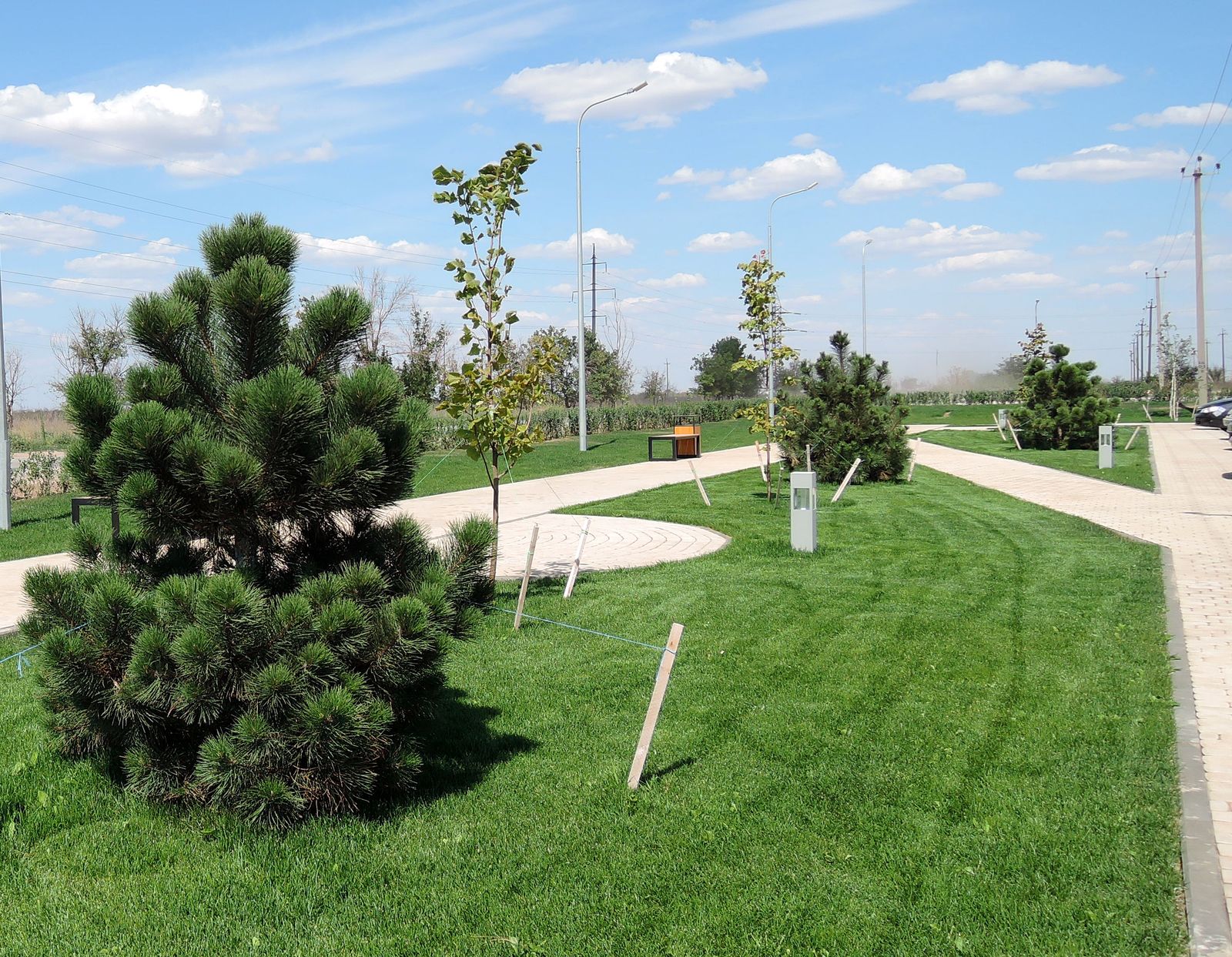 Средняя Ахтуба, image of landscape/habitat.
