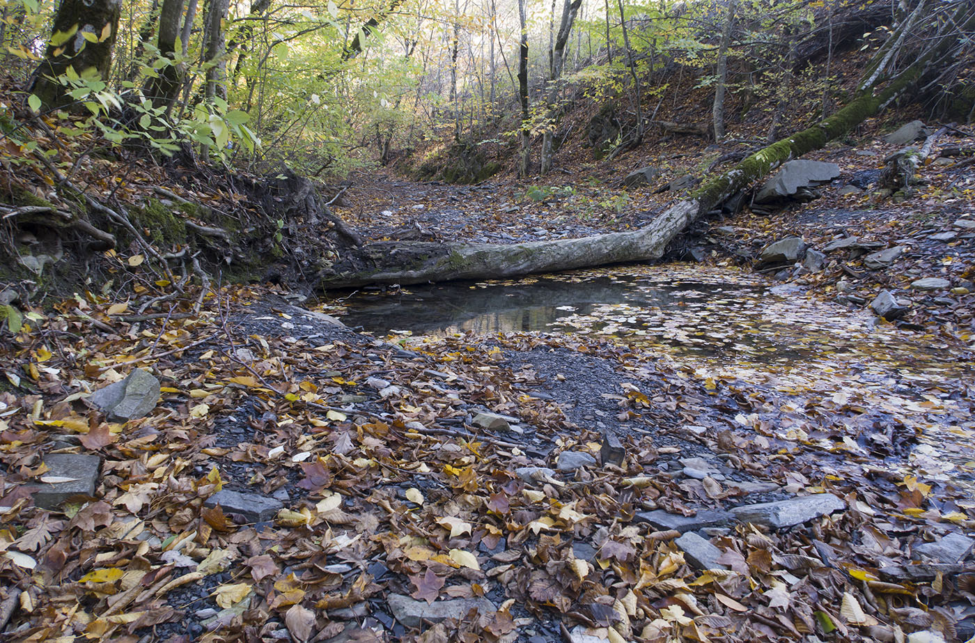 Щель Курортная, image of landscape/habitat.