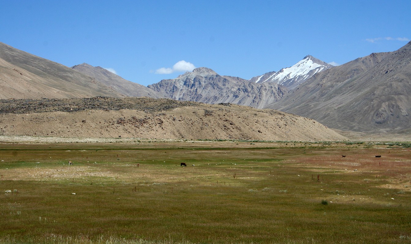 Шахдара, image of landscape/habitat.