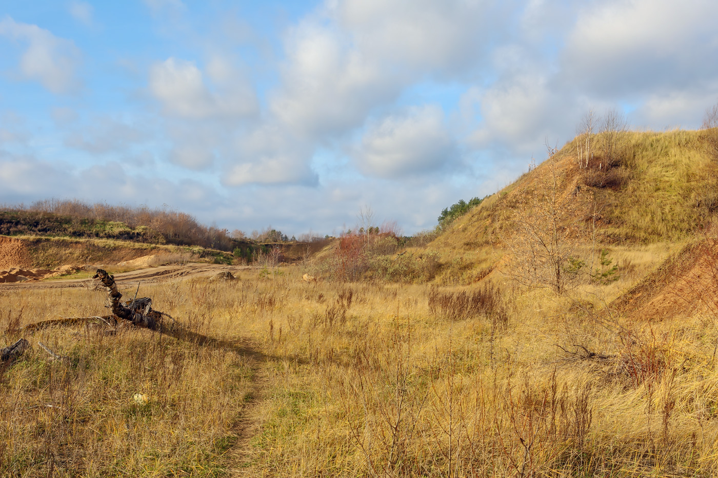 Песчаный карьер, image of landscape/habitat.