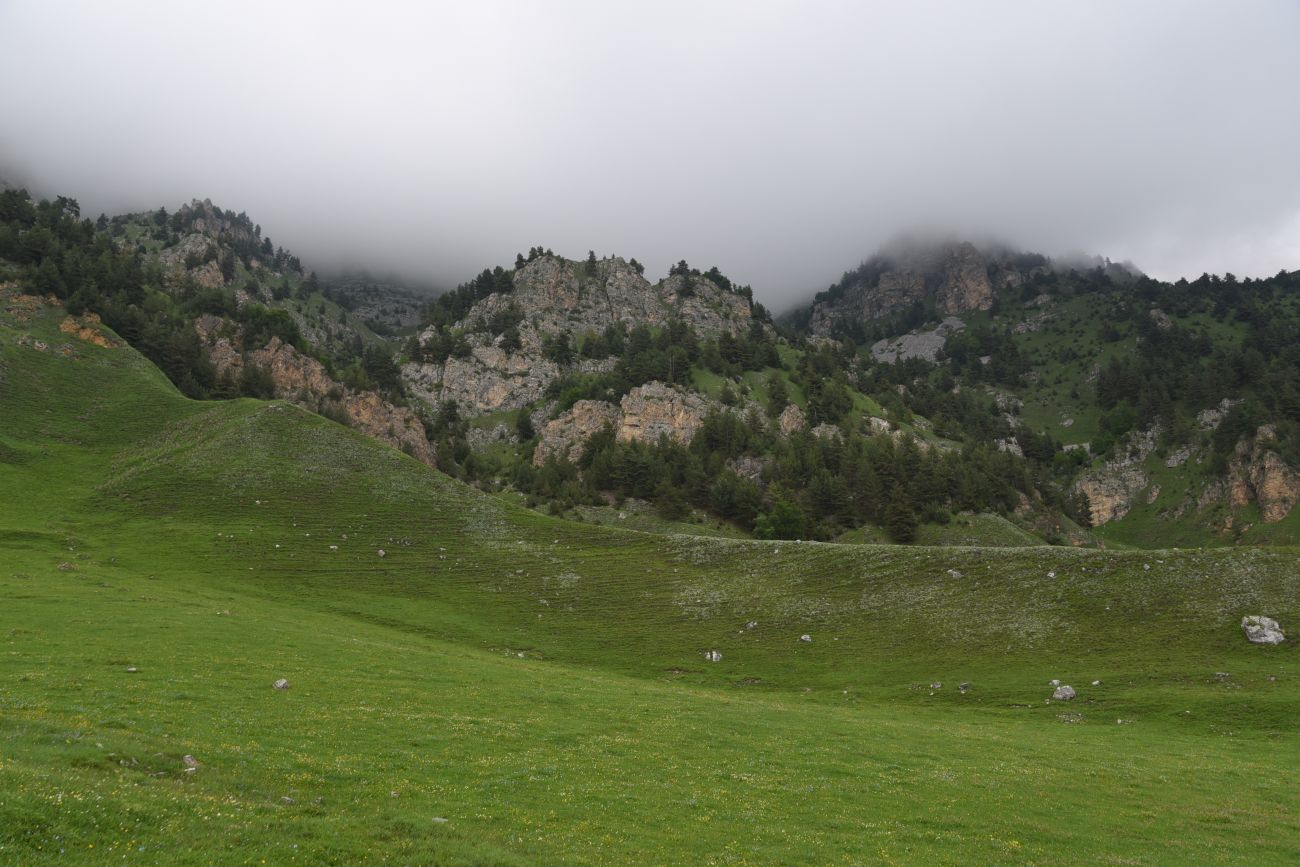 Окрестности урочища Мусиево, image of landscape/habitat.