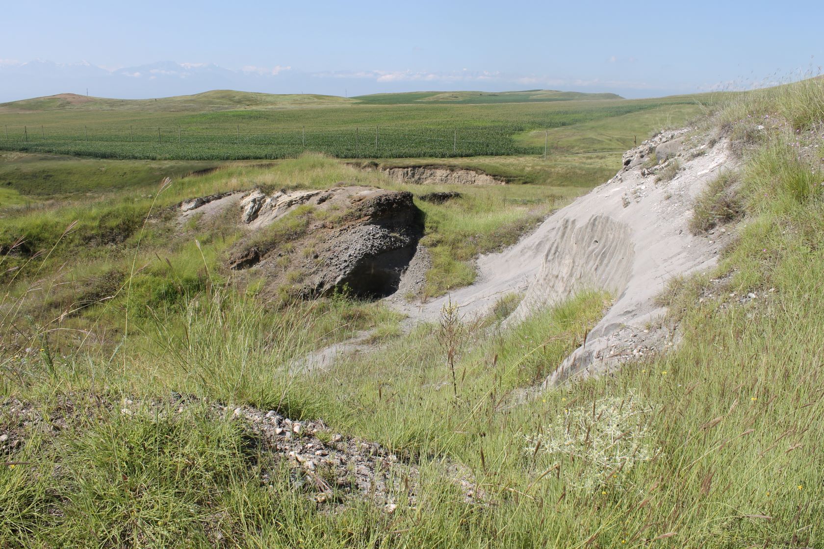 Заманкул, image of landscape/habitat.