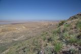 Image of landscape