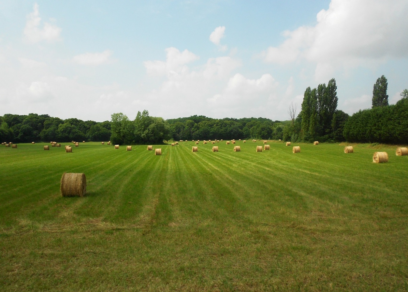 Замок Шенонсо, image of landscape/habitat.