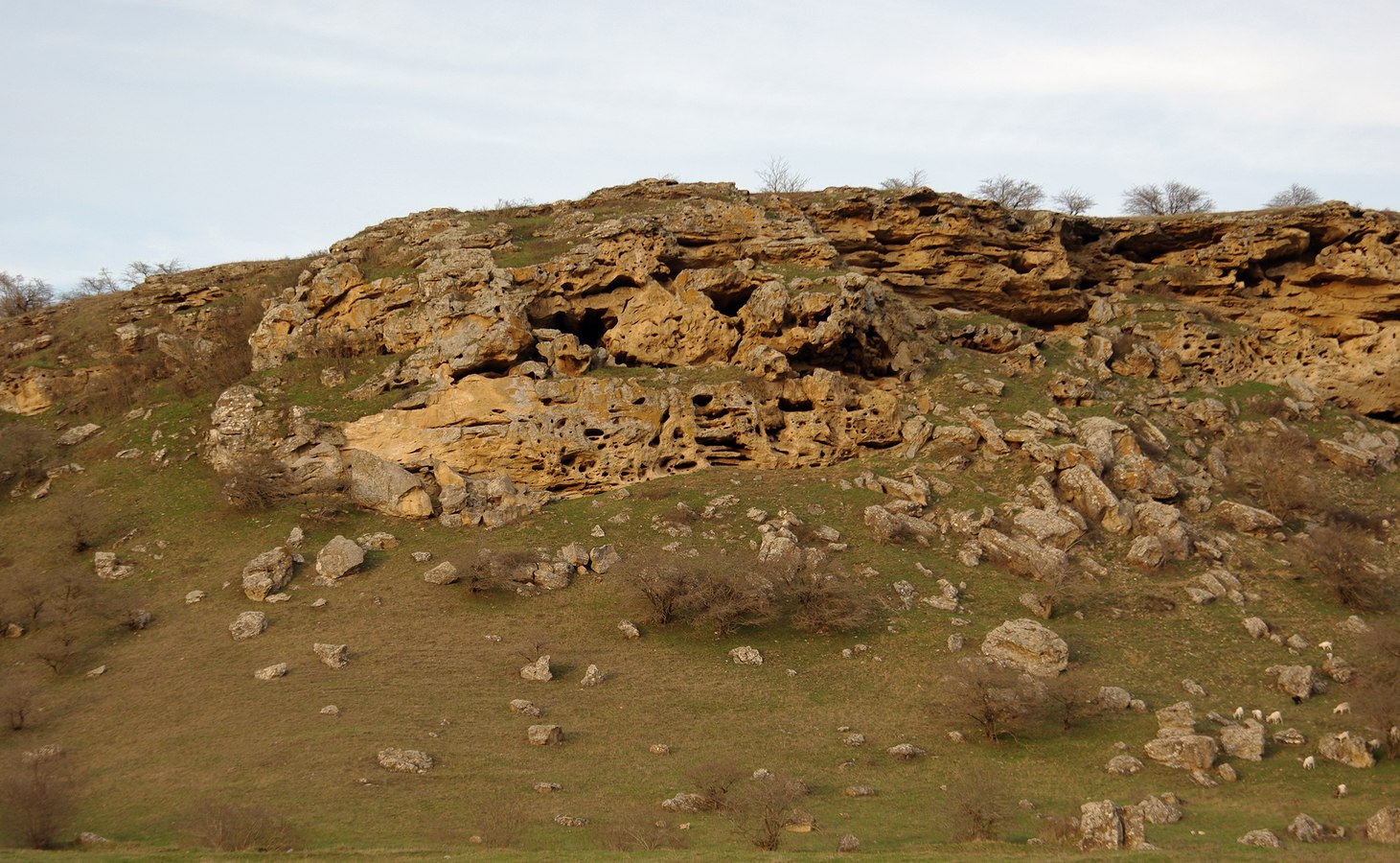 Александровское, image of landscape/habitat.