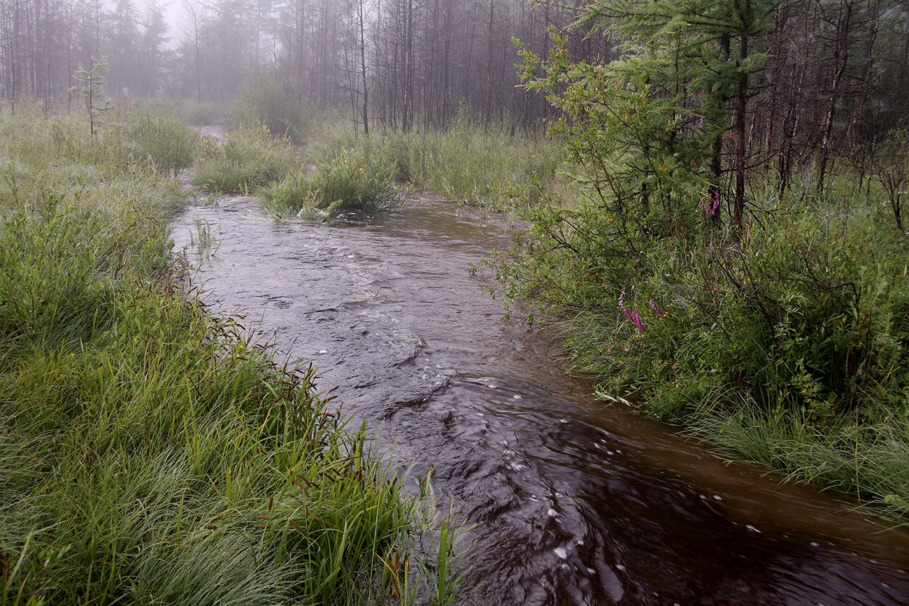 Окрестности Северного, image of landscape/habitat.