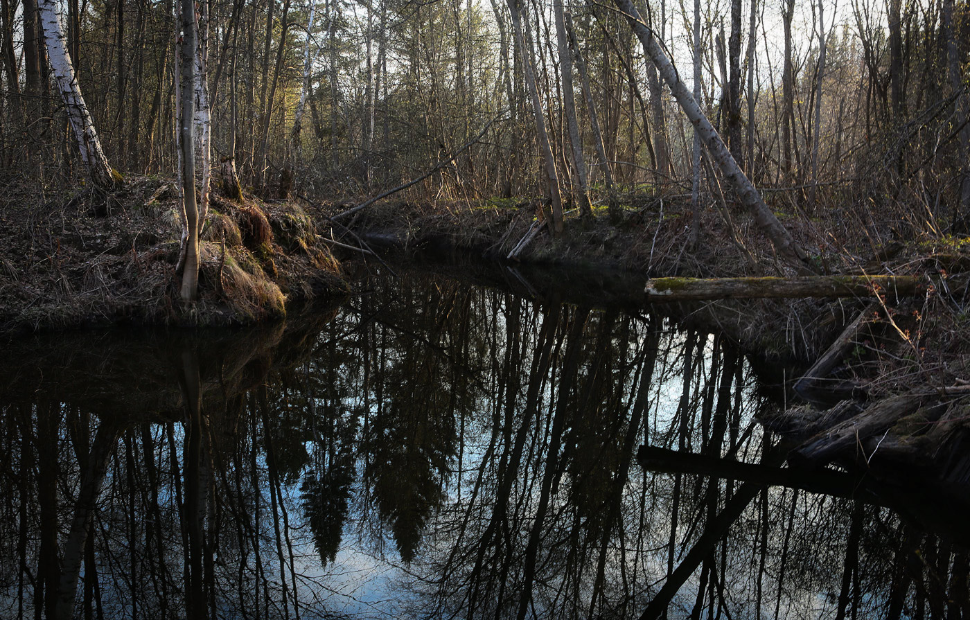 Низовья Косьвы, image of landscape/habitat.