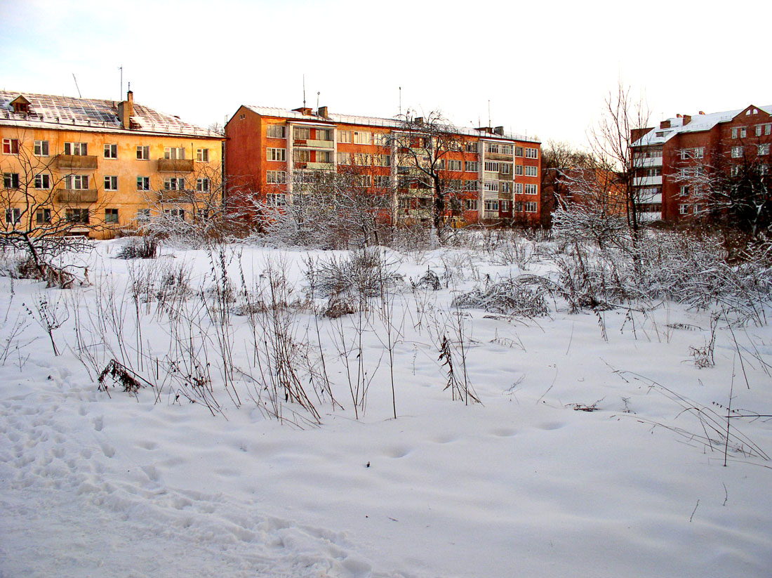 Борок и окрестности, image of landscape/habitat.