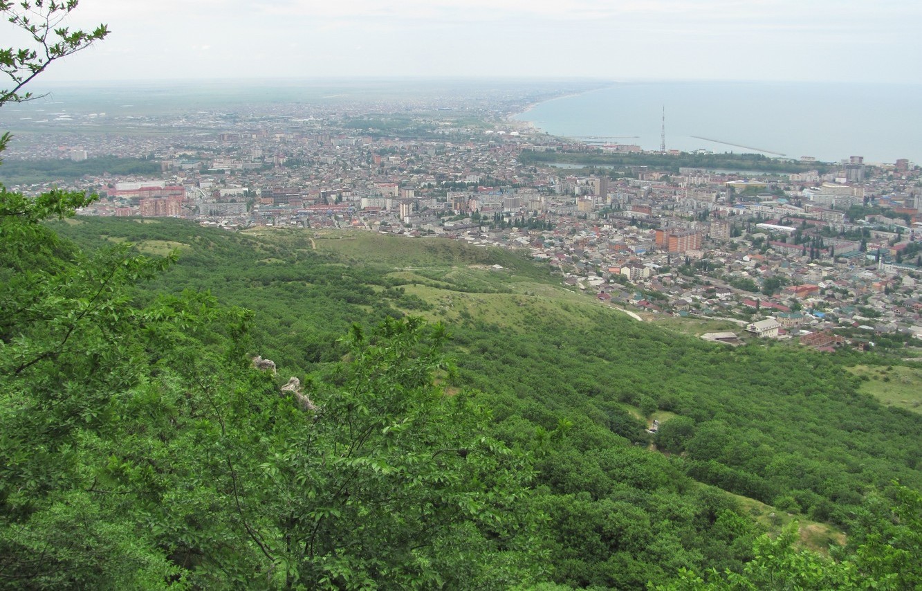 Тарки-Тау, image of landscape/habitat.