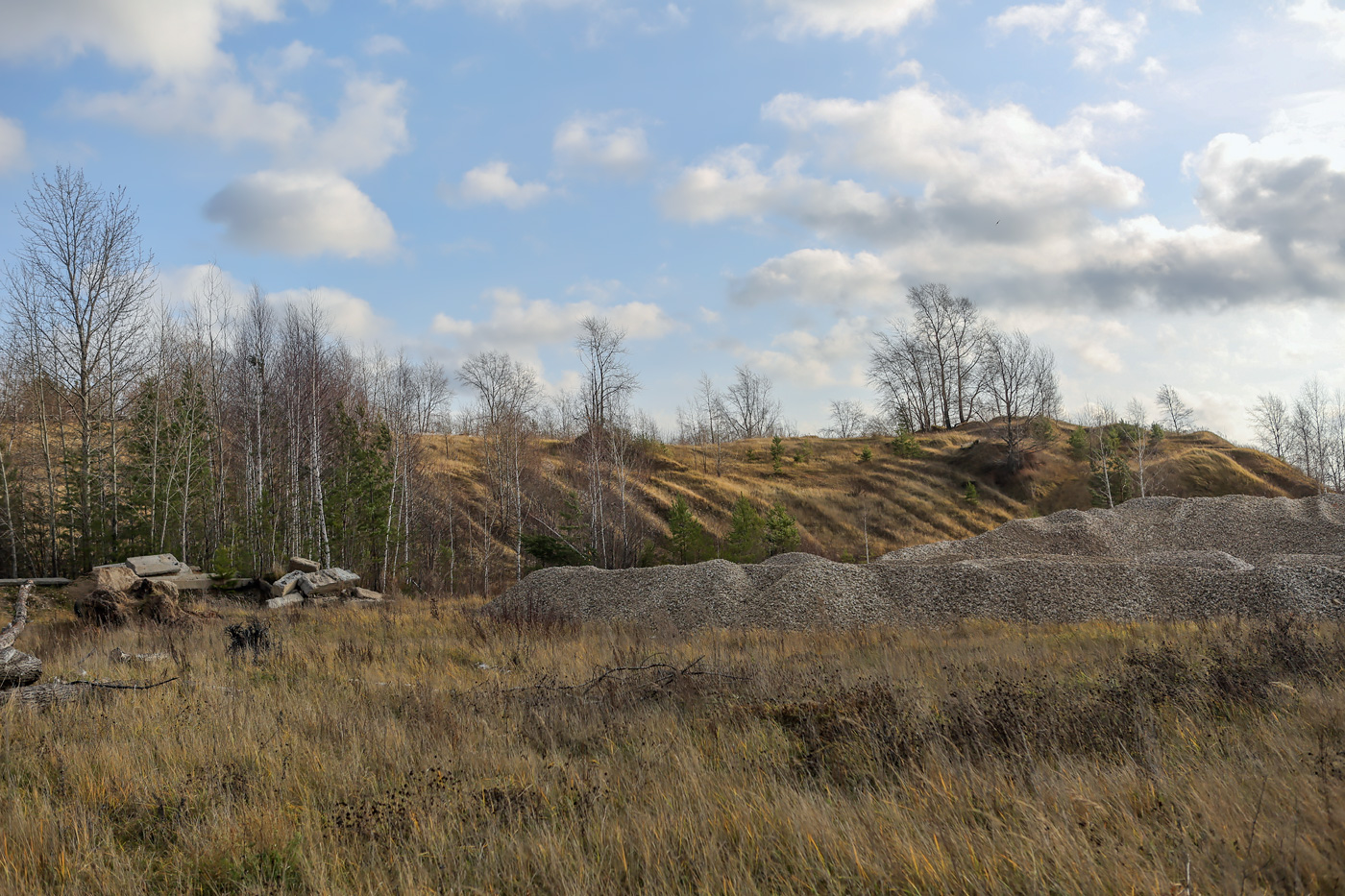 Песчаный карьер, image of landscape/habitat.