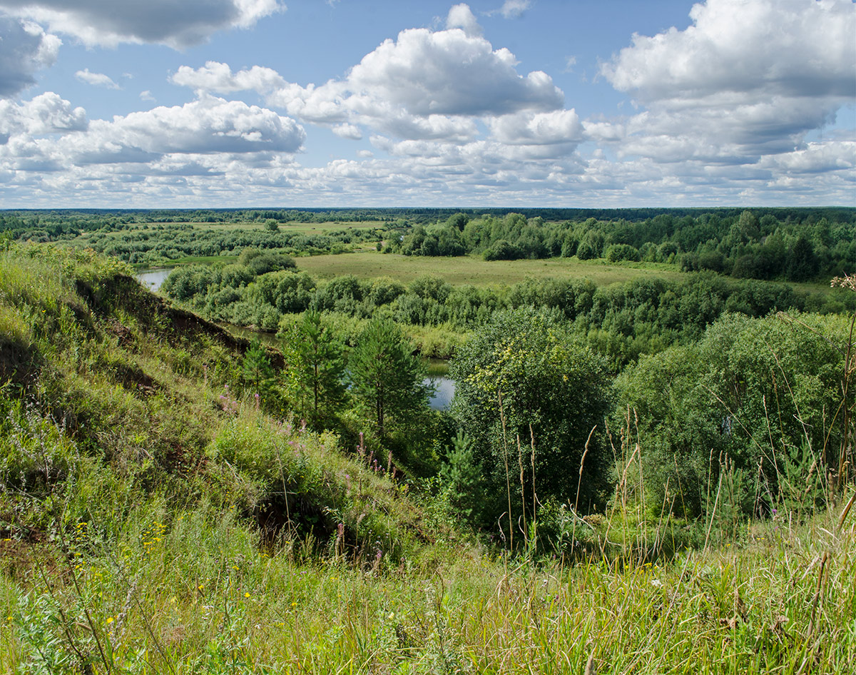 Окрестности Порубово, image of landscape/habitat.