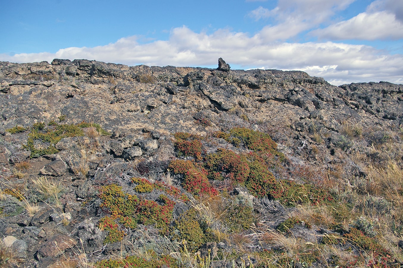 Пали-Айке, изображение ландшафта.