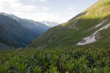 Image of landscape