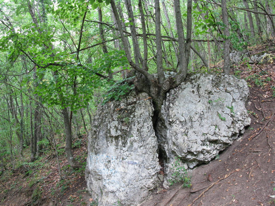 Большой каньон Крыма, image of landscape/habitat.