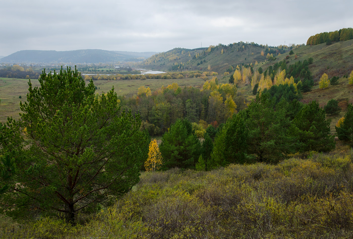 Лобач и окрестности, image of landscape/habitat.