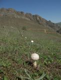 Зуванд, image of landscape/habitat.