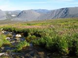 Алькесвож, image of landscape/habitat.