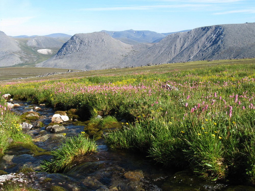 Алькесвож, image of landscape/habitat.