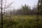 Image of landscape
