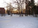 Image of landscape