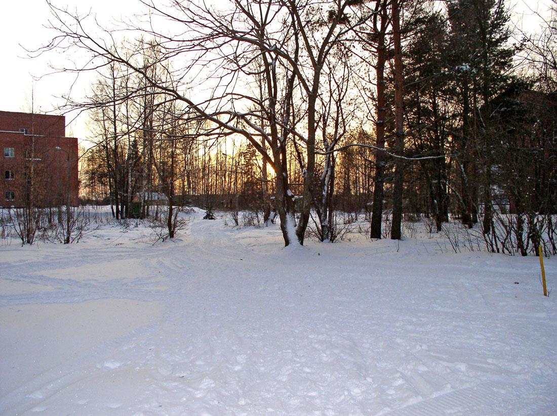 Борок и окрестности, image of landscape/habitat.